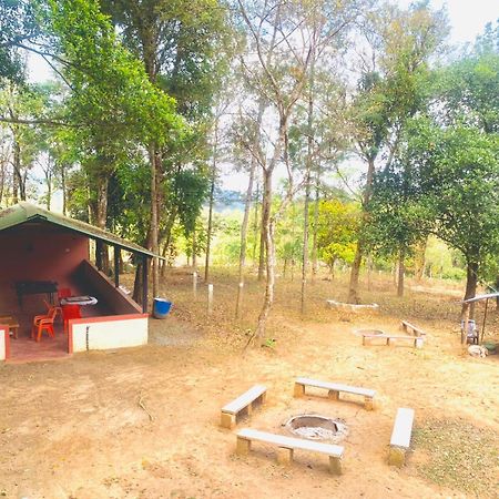 Shrenya Orchidz-Coorg Nature Stay Madikeri Exterior photo