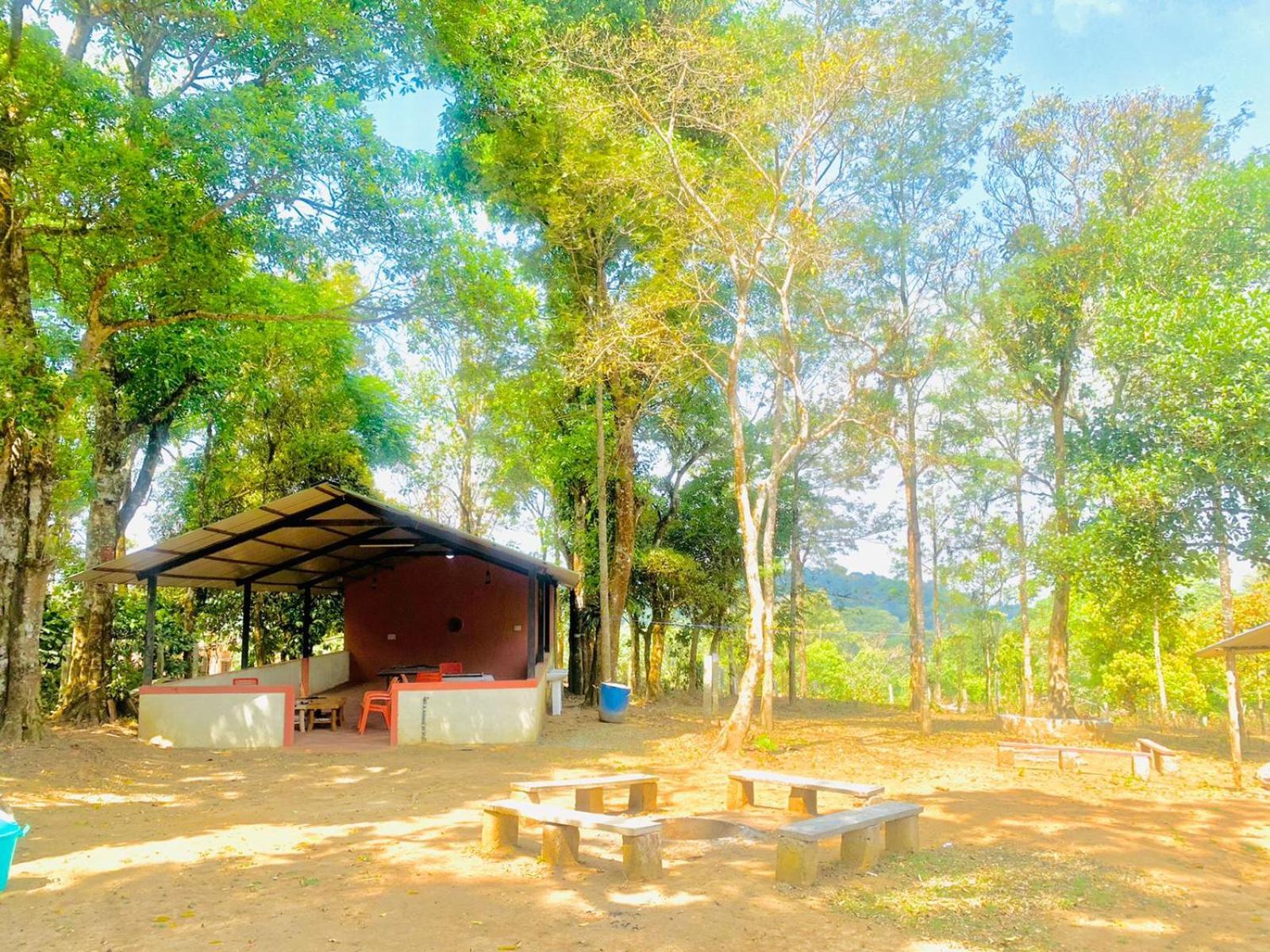 Shrenya Orchidz-Coorg Nature Stay Madikeri Exterior photo